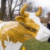Krowa, a Politechnika Śląska
